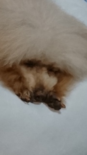 �ї������̎�c