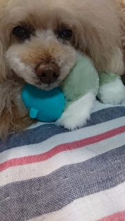 ���[���h�J�b�v