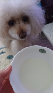 �҂��ɑ҂����c