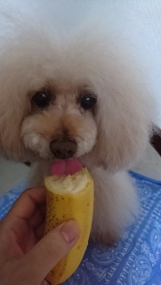 �������c
