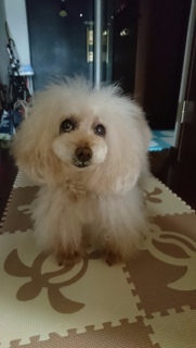 ���낻��