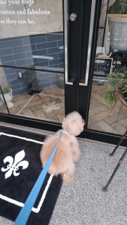 �T��������