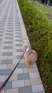 ���U��