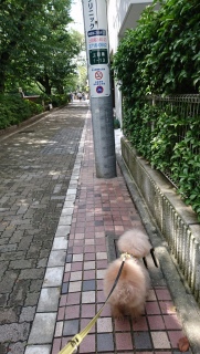 �����́c