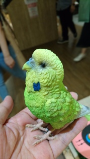 �C���R