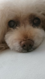 ���낻��