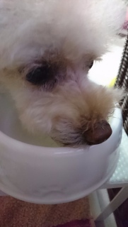 �K���Ɂc