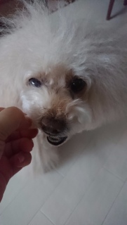 �쐶���������ȁc