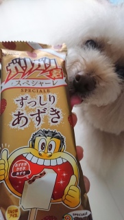 �K���K���N