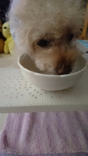 �y���y��