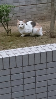 ����