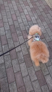 ���U��