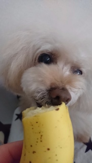 �݁[������