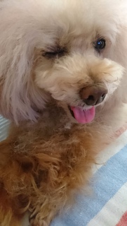 ���