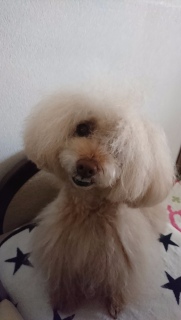 ���e�t�݂���