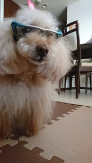 �O��������