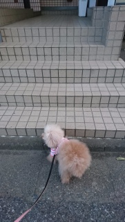 ���U���֍s���Ɓc