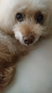 �ї������