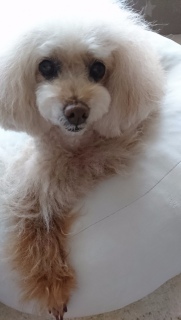 �L�����L����