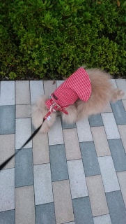 ���U��