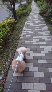 �����́c