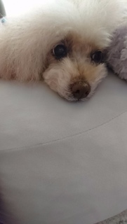 �@��