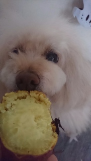 �N�[���N�[��