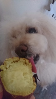 �y���[��