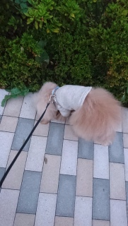 �����ʂ�