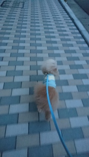������U��