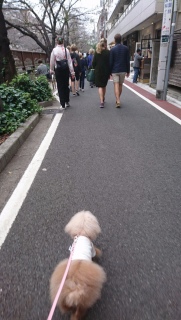 �����́c