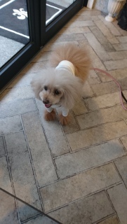 �T��������