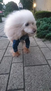 �}�Y��