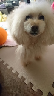 �������c