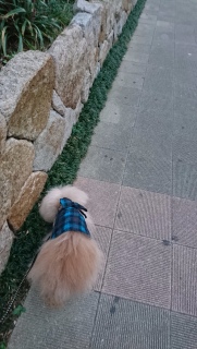 ���U��