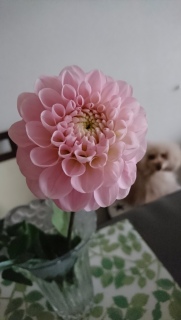 �_���A