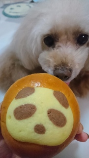 �H�ׂ�Ȃ��̂Ɂc