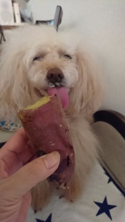 ����������c