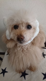 �������c