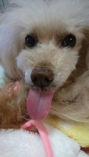 �y����