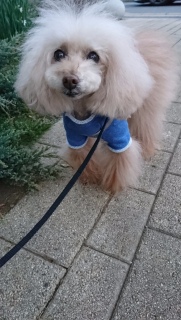 �L���L���c