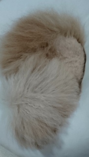 ���p���c