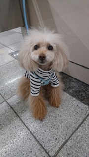 ���U���r��
