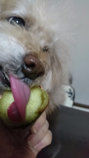 ���R����
