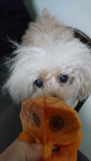 �햳��