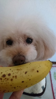 �������c