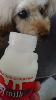 ���M�~���N