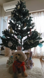 X'mas�c���[�Ɓc