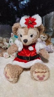 �V�F���[���C�T���^