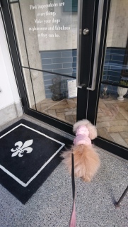 �T��������